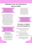 Important Emotional Regulation by Tayshun Jennings