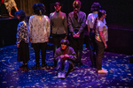084 Curious Incident performance photograph by Arkansas State University - Jonesboro