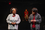 093 Curious Incident performance photograph by Arkansas State University - Jonesboro