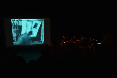 image preview