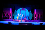 095 Head Over Heels performance photograph by Arkansas State University - Jonesboro