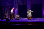 193 Into the Woods performance photograph by Jeff McLaughlin