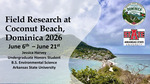 Field Research at Coconut Beach, Dominica 2026