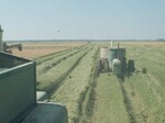 A Tractor Plows a Field and Scenes From a Butcher Shop