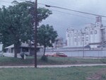 Riceland Rice Plant Stock Footage