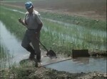 Farmers Hesitant About New Pesticide Application Program by KAIT-TV