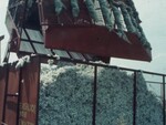 Cotton Processing Plant Footage by KAIT-TV