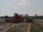 Footage of a Combine Harvester by KAIT-TV