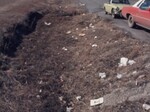 Webber Reports on Need for Litter Containers by KAIT-TV