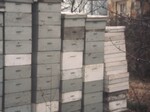 Man States Four Beehives Have Been Stolen by KAIT-TV