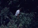 Police Investigate a River Bank