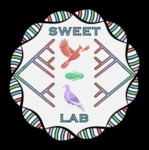 Dr. Drew Sweet and the Sweet Lab by Andrew D. Sweet